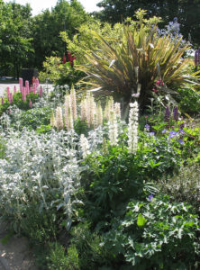 North Walsham In Bloom photo