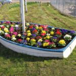 Planted boat