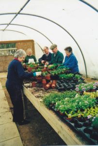 Greenhouse