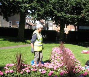 north walsham in bloom 18th july 2016 c