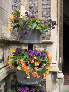 north walsham in bloom 24th june 2015 r