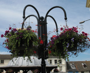 north walsham in bloom 24th june 2015 r