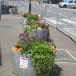 north walsham in bloom 24th june 2015 r