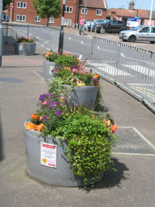 north walsham in bloom 24th june 2015 r