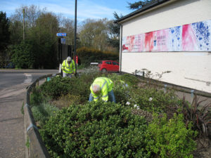 north walsham in bloom 30th june 2015 z