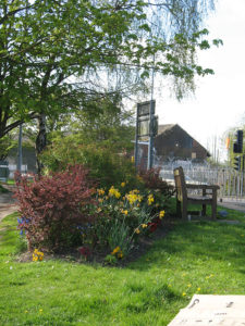 north walsham in bloom 30th june 2015 z