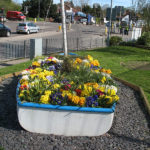 north walsham in bloom 30th june 2015 z