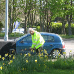 north walsham in bloom 30th june 2015 z