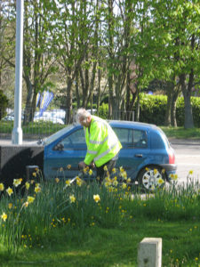 north walsham in bloom 30th june 2015 z