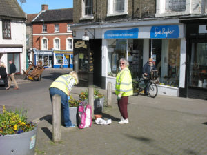 north walsham in bloom 30th june 2015 z