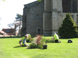 north walsham in bloom 30th june 2015 z