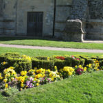 north walsham in bloom 30th june 2015 z