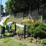 north walsham in bloom 30th june 2015 z