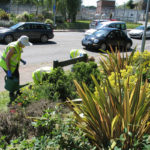 north walsham in bloom 30th june 2015 z