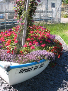 north walsham in bloom 30th june 2015 z