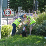 north walsham in bloom 30th june 2015 z