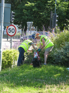 north walsham in bloom 30th june 2015 z