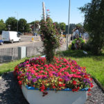 north walsham in bloom 30th june 2015 z