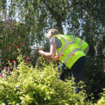 north walsham in bloom 30th june 2015 z