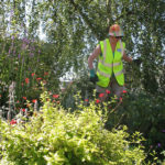 north walsham in bloom 30th june 2015 z