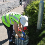 north walsham in bloom 30th june 2015 z