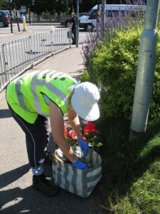 north walsham in bloom 30th june 2015 z