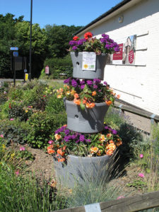 north walsham in bloom 30th june 2015 z