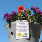 north walsham in bloom 30th june 2015 z