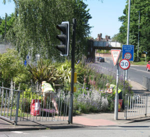 north walsham in bloom 30th june 2015 z