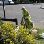 north walsham in bloom 30th june 2015 z