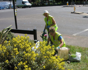 north walsham in bloom 30th june 2015 z