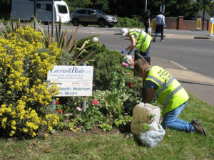 north walsham in bloom 30th june 2015 z