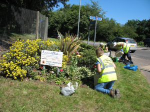 north walsham in bloom 30th june 2015 z