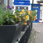 north walsham in bloom 3rd june 2015 f