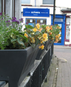 north walsham in bloom 3rd june 2015 f