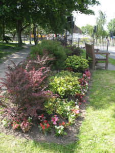 north walsham in bloom 8th june 2016 b