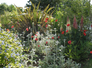 north walsham in bloom 8th june 2016 h