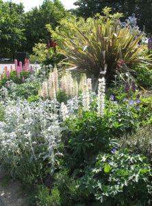 north walsham in bloom 8th june 2016 h