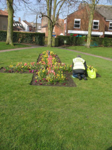 north walsham in bloom