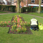 north walsham in bloom