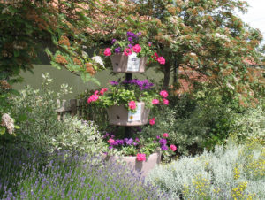 north walsham in bloom