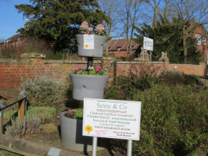 north walsham in bloom