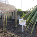 north walsham in bloom