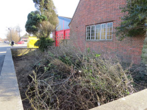 north walsham in bloom