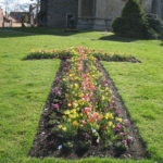 north walsham in bloom