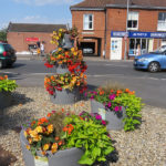 north walsham in bloom