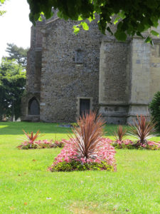 north walsham in bloom