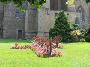 north walsham in bloom