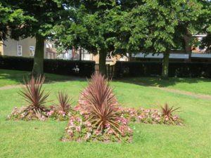 north walsham in bloom