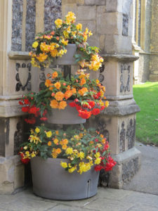 north walsham in bloom